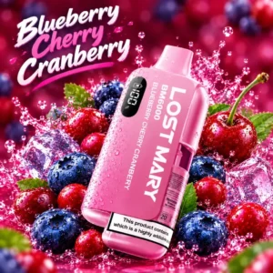 Blueberry Cherry Cranberry Vape pre-filled kit with 6000 puffs