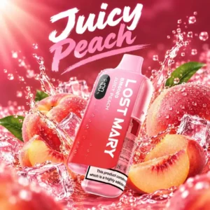 Juicy Peach Lost Mary V2 pre-filled vape kit