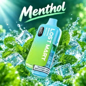Lost mary menthol BM6000 prefilled vape kit with OLED display and refillable pod